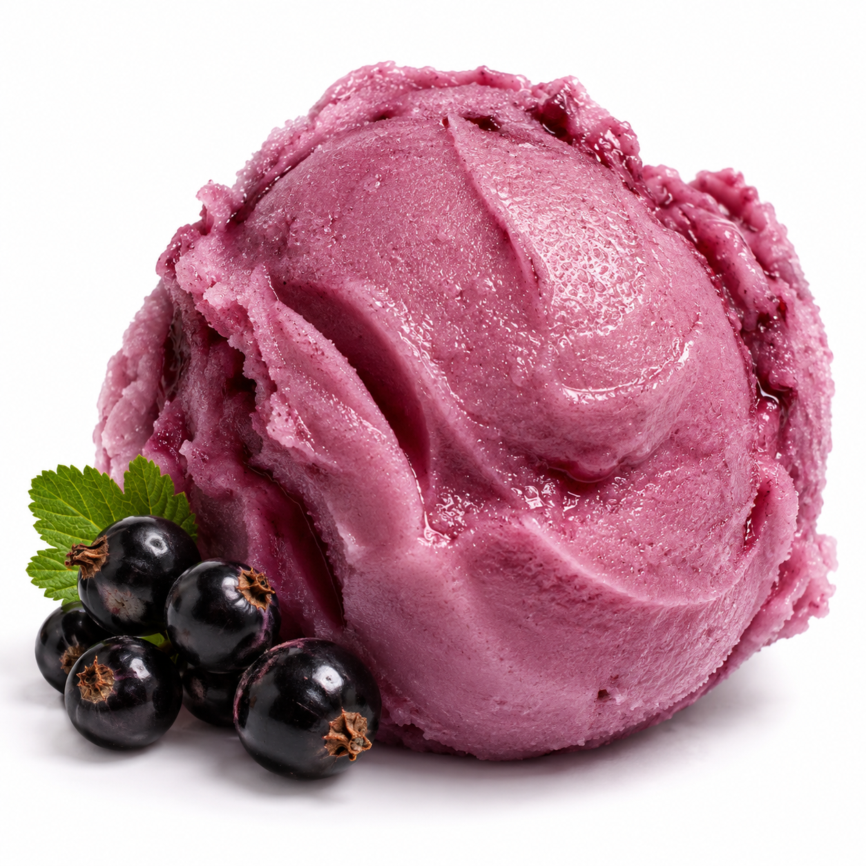 Ciccarelli Blackcurrant Sorbet with fresh blackcurrants